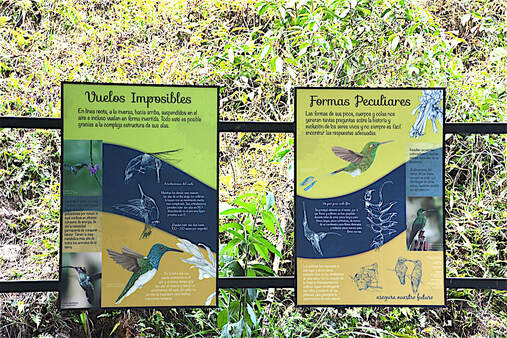 colibries reserva buenaventura fundación jocotoco